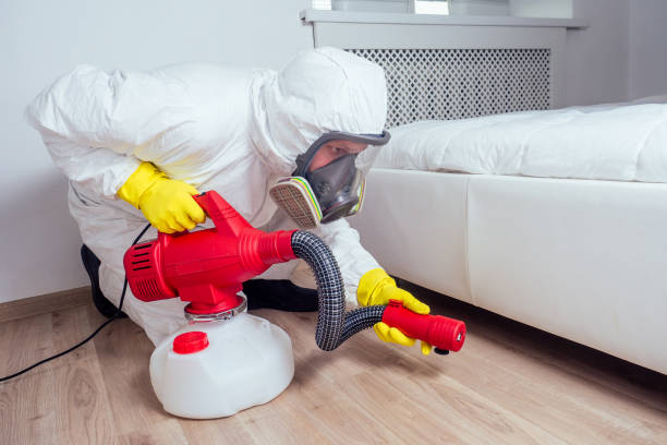 Best Real Estate Pest Inspections  in Hinsdale, IL